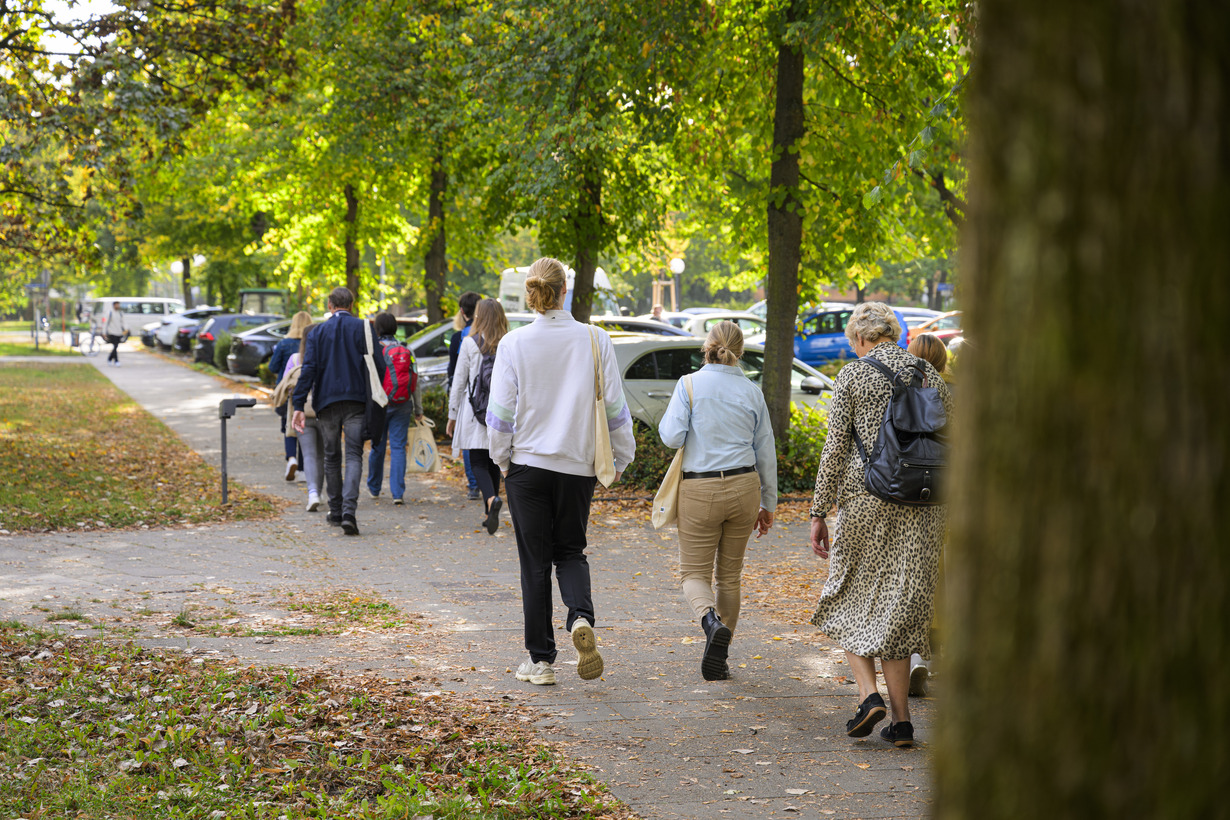 Eine Gruppe läuft entlang einer Allee am Campus Süd. Man sieht die Gruppe von hinten.