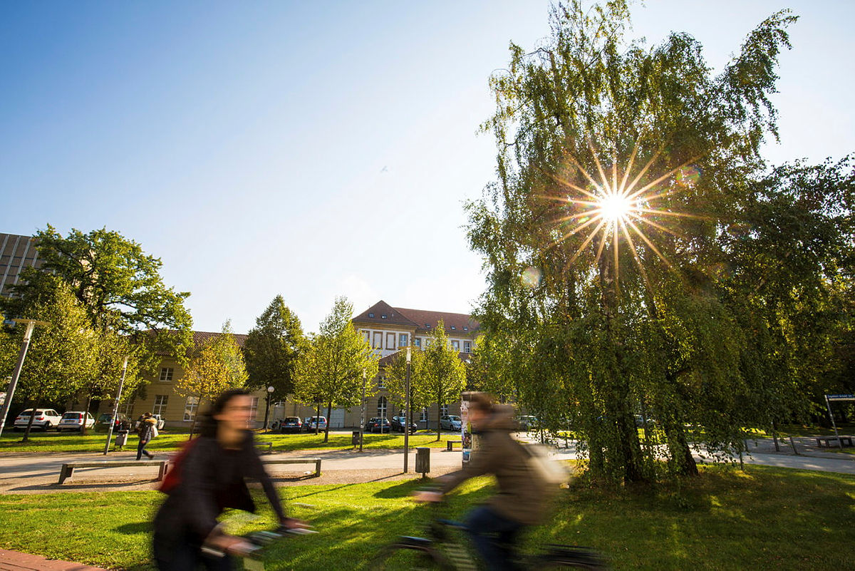 Sonnenstrahlen durchleuchten Bäume in einem Park, während zwei Radfahrer vorbeifahren.
